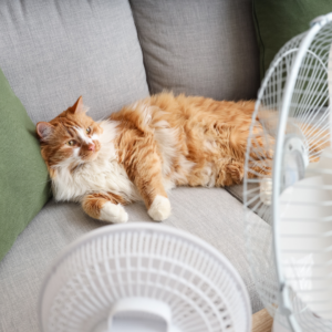 Indoor air conditioning unit keeping home cool during hot weather, Second heatwave, July heatwave